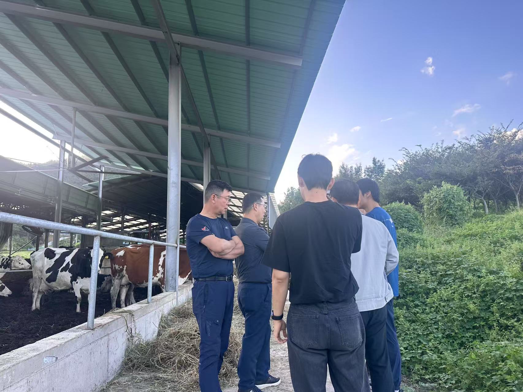Calf Health and Growth: Why Barn Airflow Matters More Than You Think - RTFANS Industrial Ventilation & Cooling