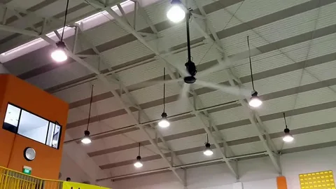 Ceiling fans installed in a sports facility as an energy efficient cooling solution.
