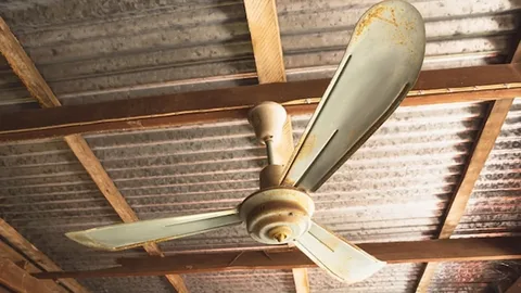Ceiling fan helping barn ventilation and minimizing livestock lameness linked to humidity.