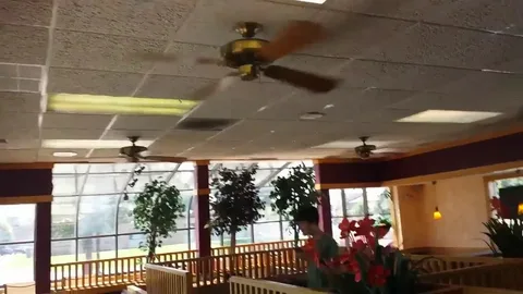 Energy saving ceiling fans in restaurant helping reduce electricity and HVAC usage.