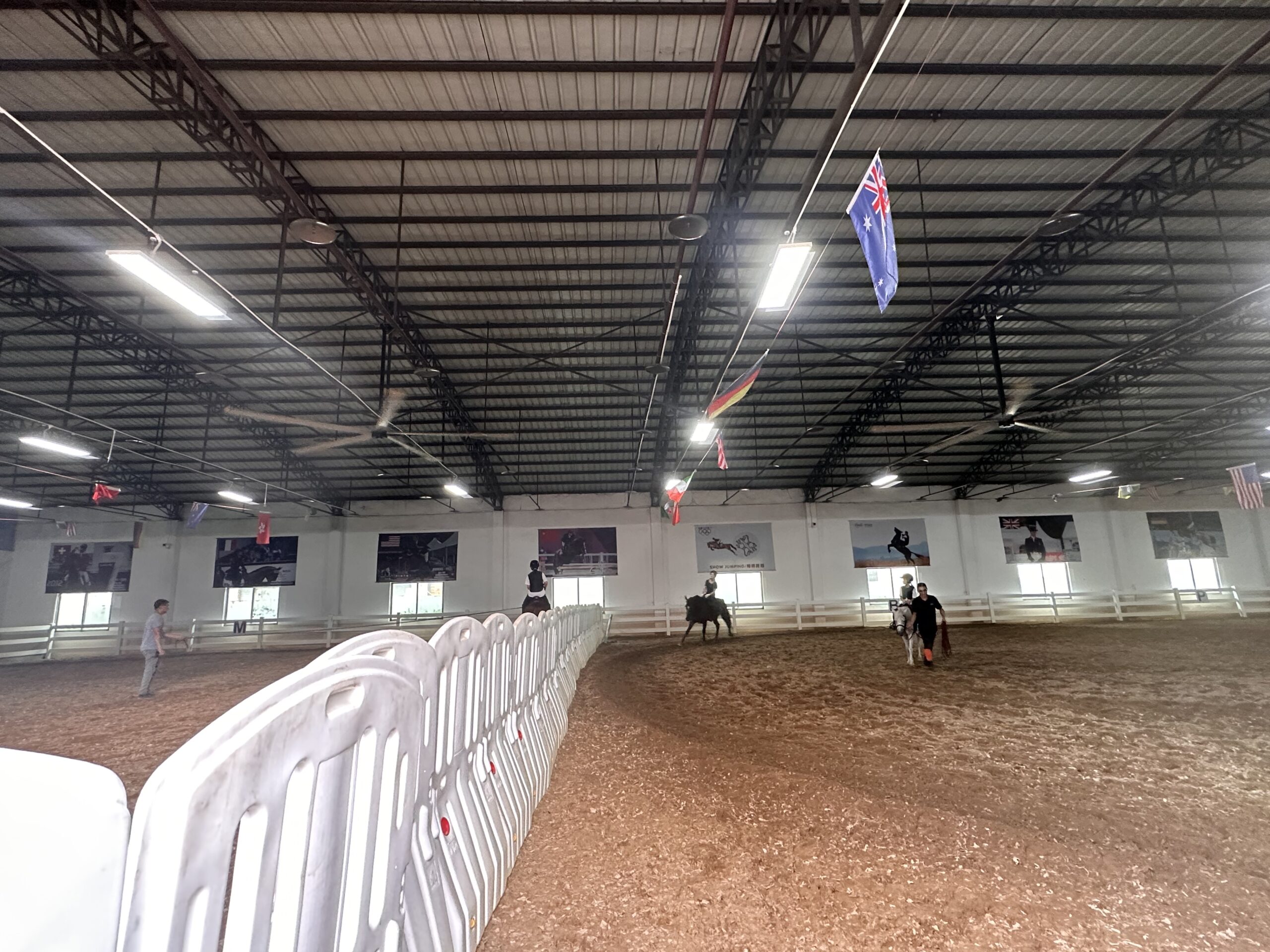 ROI Analysis: Are Ceiling Fans Worth It for Barns? - RTFANS Industrial Ventilation & Cooling